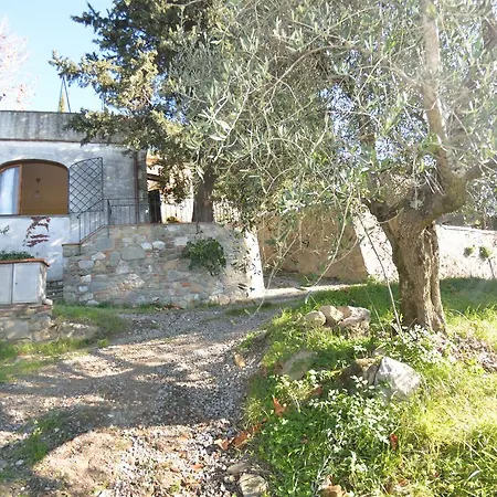 La Cipressa Collodi